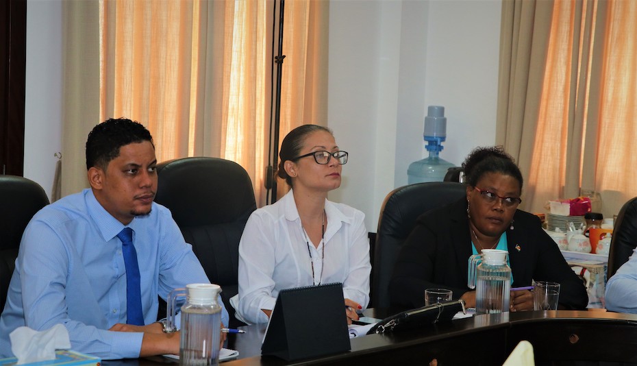The Media Youth and Culture Committee meets with the Deputy CEO of the National Bureau of Statistics