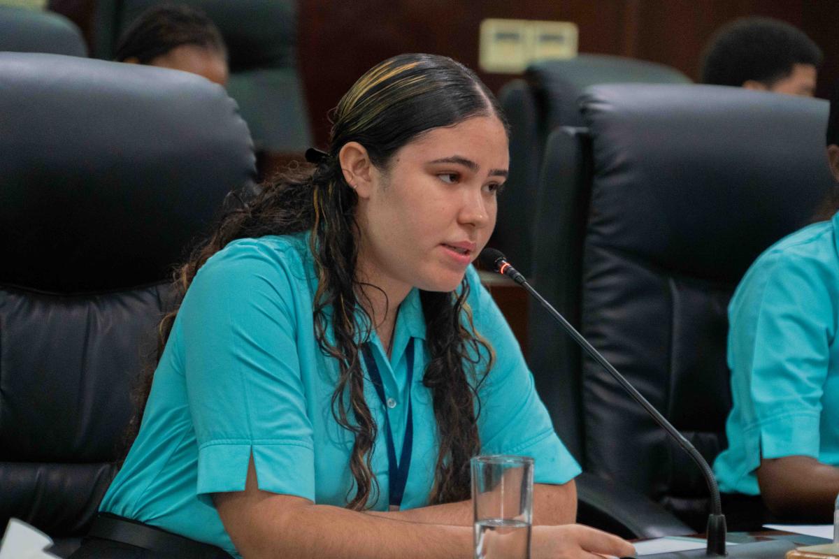 Mover of the motion, Young Hon. Trina Low-Lam