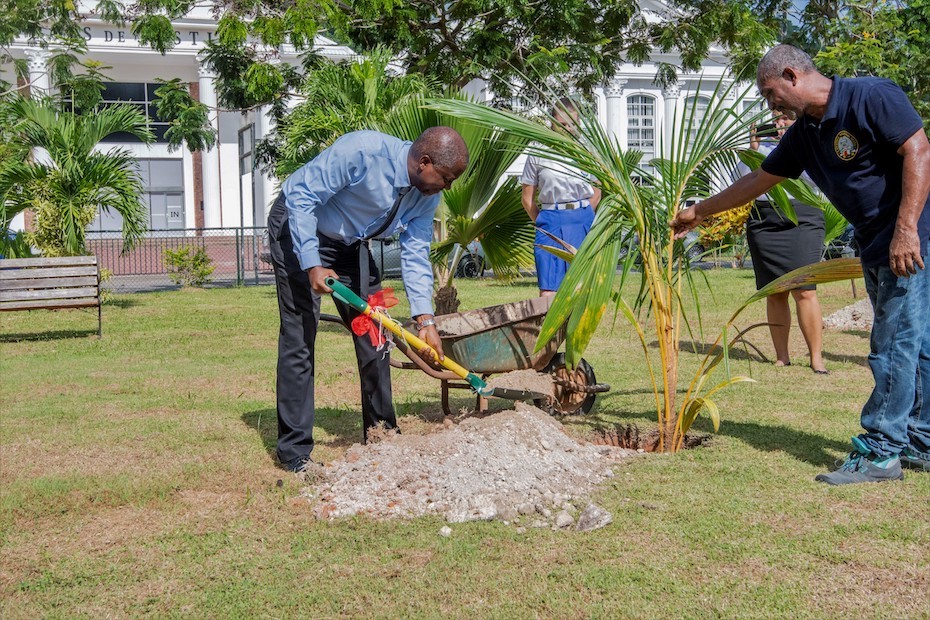 The National Assembly Commemorates the Commonwealth Day 2020