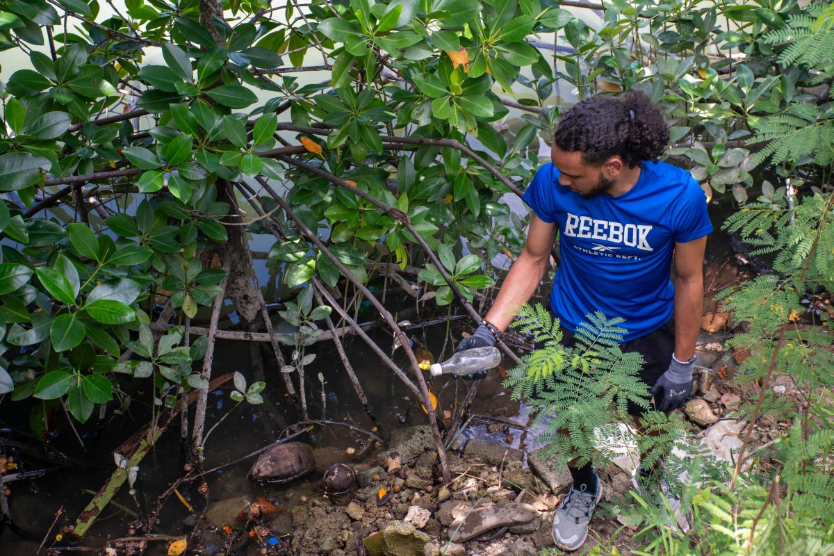 EPIC Mangrove Clean-Up