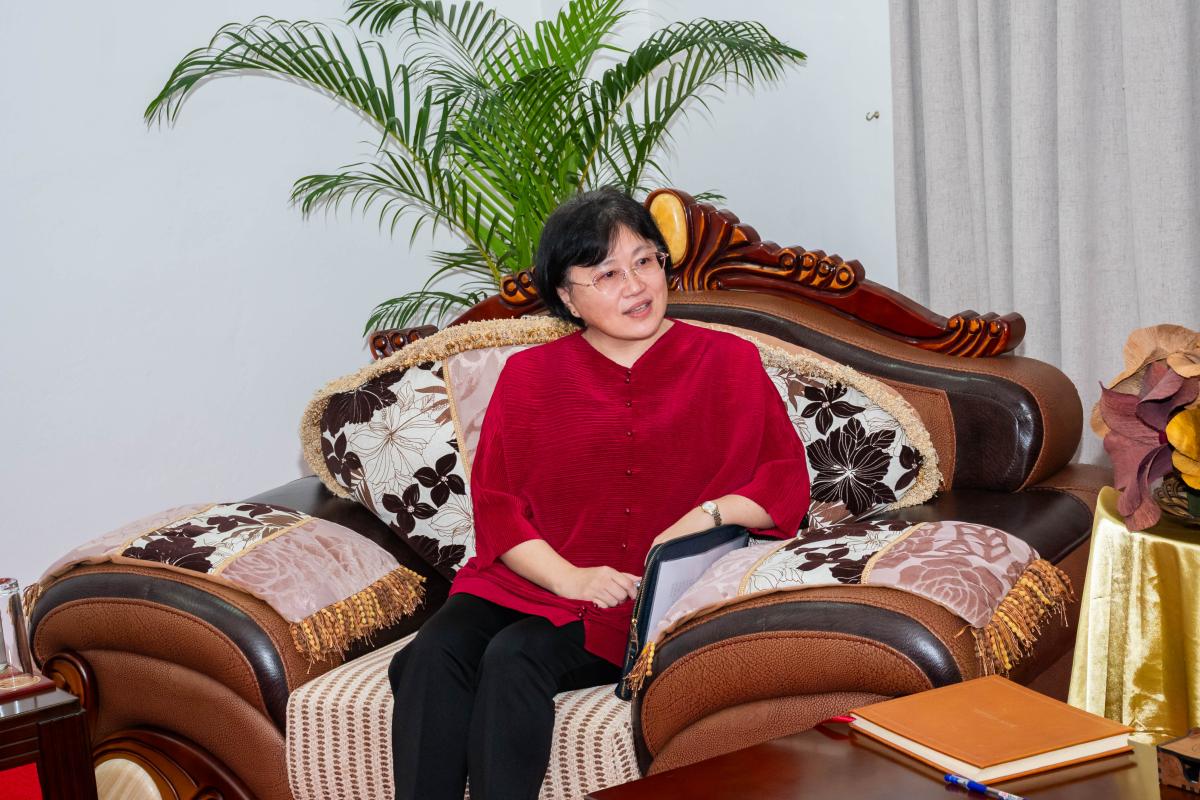 Ambassador Lin Nan