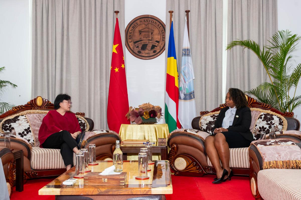 Madam Speaker and Ambassador Lin Nan during discussions