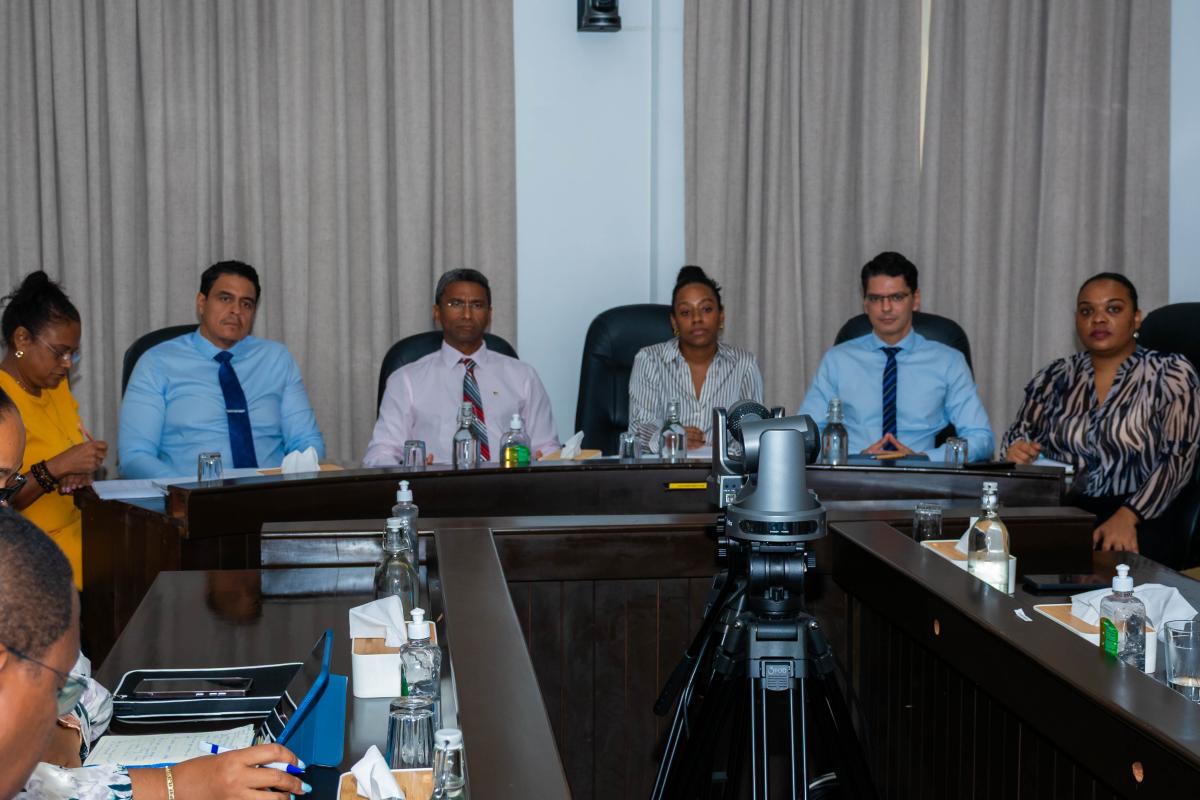 Foreign Affairs Delegation