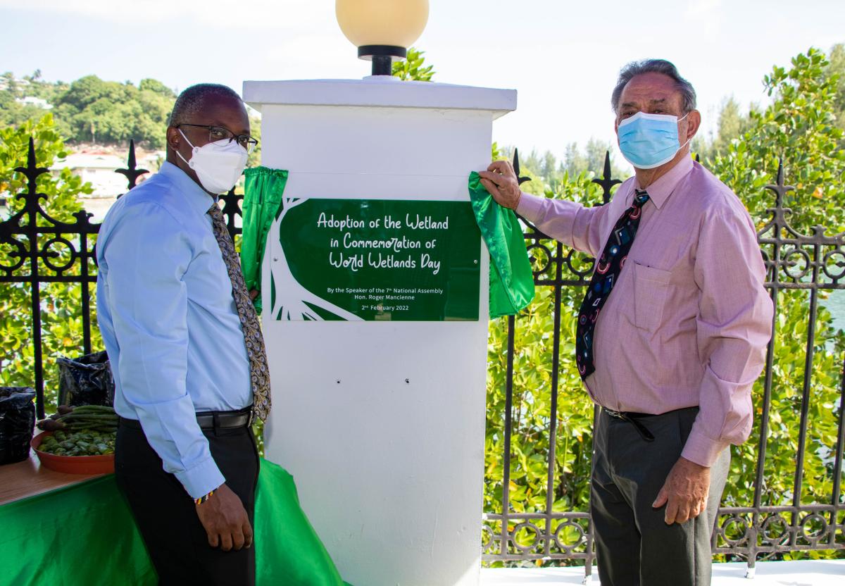 Unveiling of the Wetland