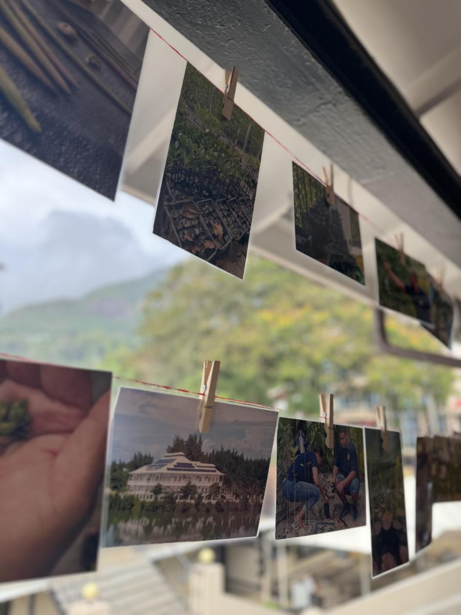 The photos of EPIC on Display