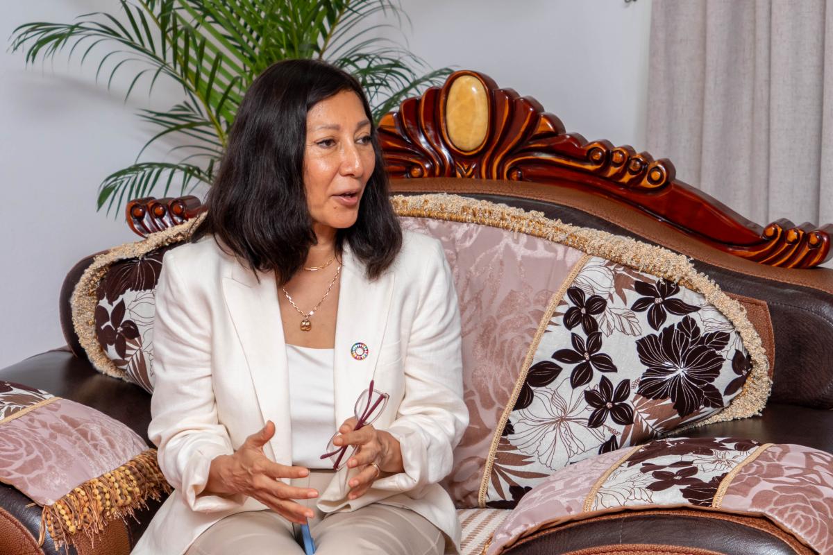 United Nations Resident Coordinator for Mauritius and Seychelles Ms. Lisa Sing