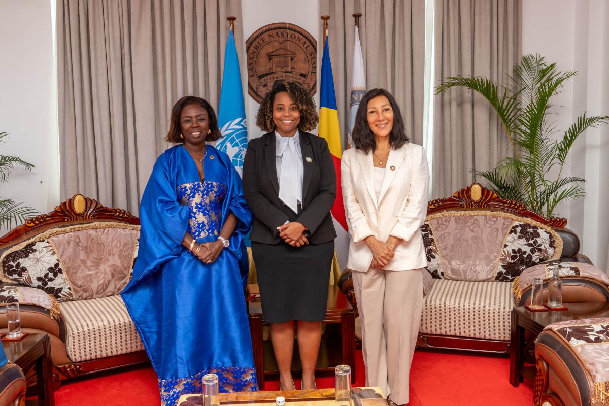 Courtesy Call Group Photograph