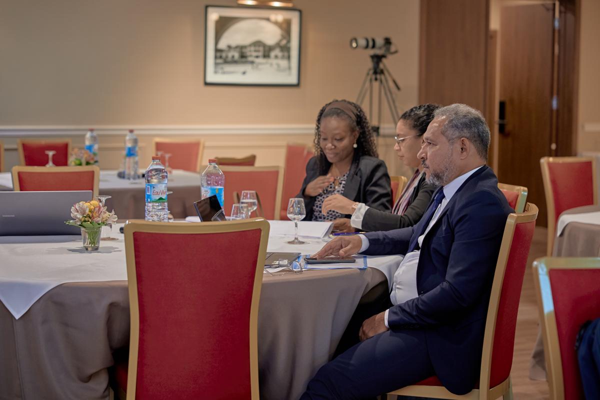 Members Participating in the AP-COI Plenary