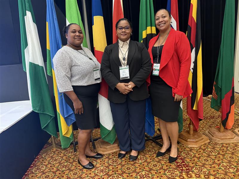 Delegation of Committee Clerks