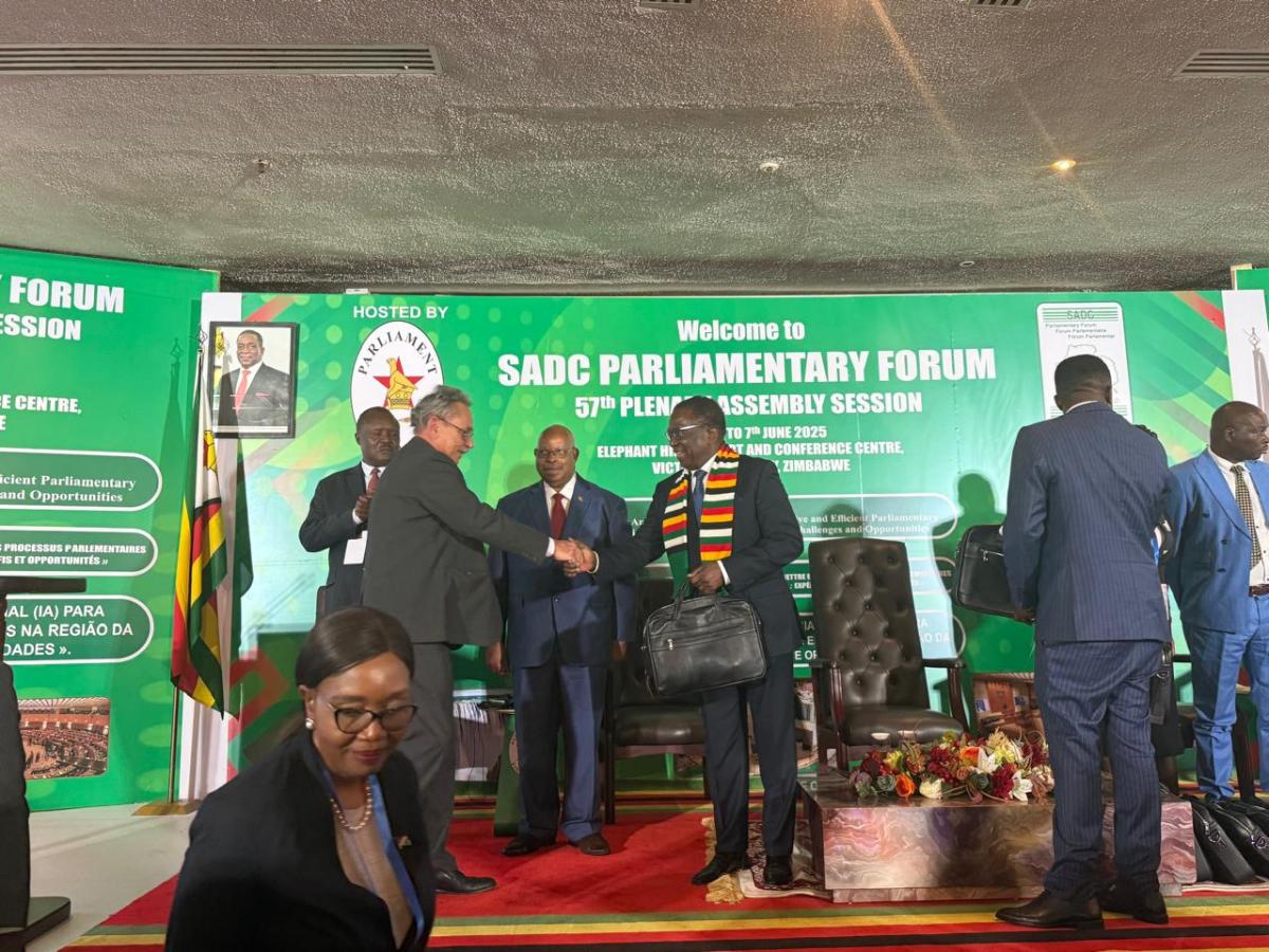 Speaker Mancienne - President of Zimbabwe