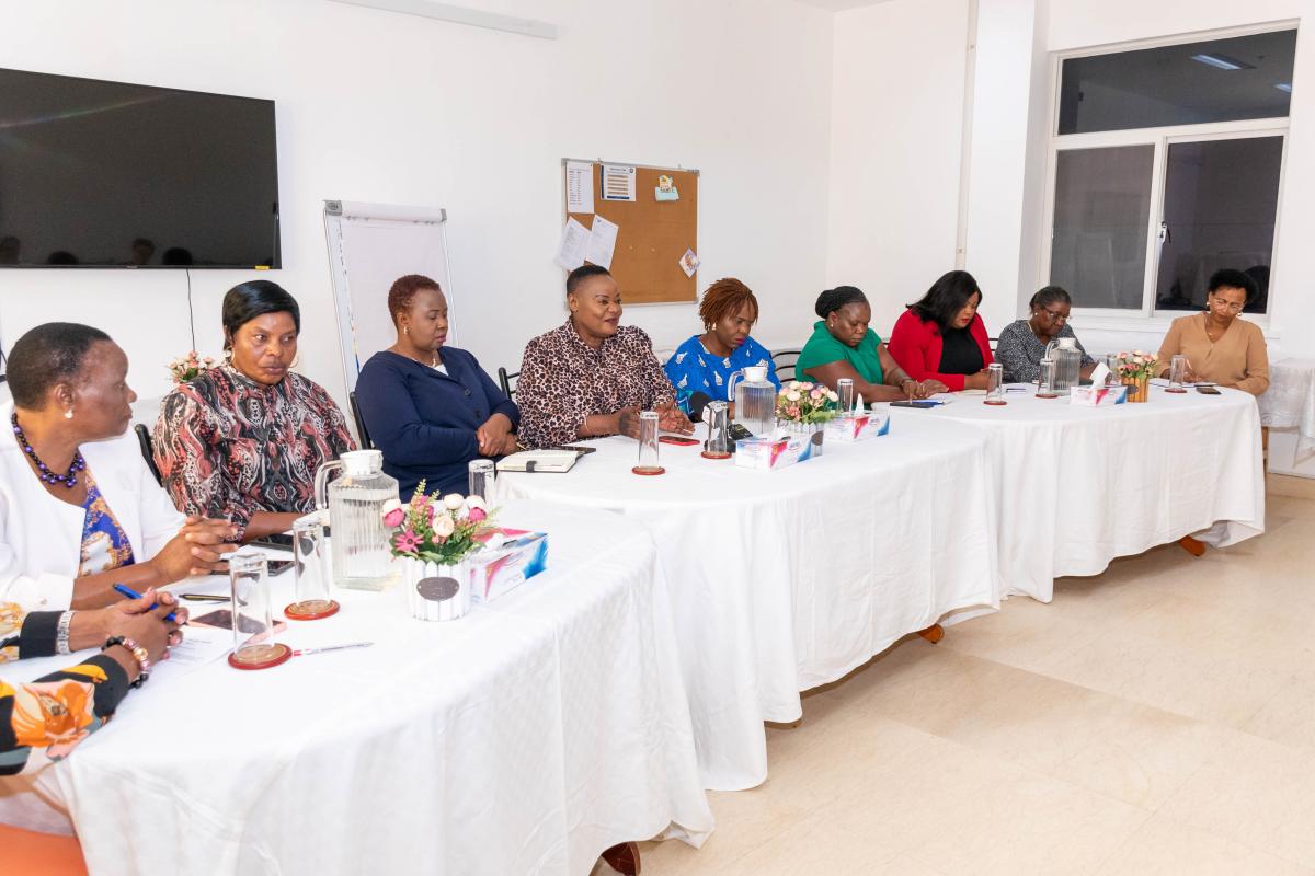 The delegation and the Seychellois MNAs