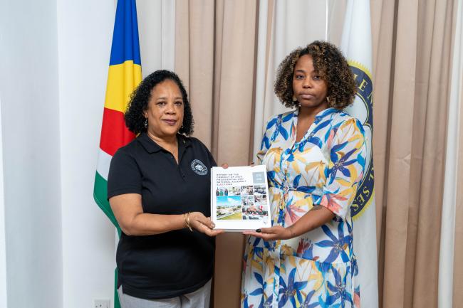 Presentation of the report