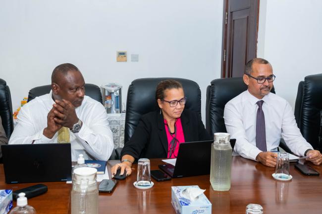 Meeting of the FPAC and the OAG