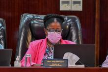 Hon Bistoquet Making her Statement to the House